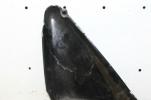 YAMAHA XJ550 LEFT SIDE COVER (YTP178)