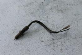 1981 HONDA CM200T CM200 TWINSTAR (#235) REAR BRAKE SWITCH