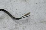 1981 HONDA CM200T CM200 TWINSTAR (#235) REAR BRAKE SWITCH
