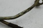 1972 HONDA CL175 (#360) CLUTCH CABLE LINE AND FRONT BRAKE CABLE LINE