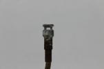 1972 HONDA CB175 TACHOMETER CABLE LINE (TOC406)