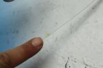 1980 KAWASAKI 440 LTD KZ440 CYCLEAR WINDSHIELD WIND SCREEN (WIND09)