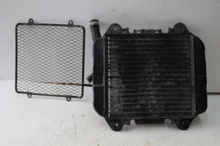 2003 KAWASAKI EX250 NINJA (#270) RADIATOR W FAN SCREEN GRILL 