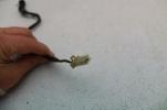 1982 HONDA SABRE VF750 S (#338) REAR BACK BRAKE SENSOR SWITCH STOP