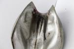 1984 YAMAHA FJ600 GAS TANK FUEL TANK PETROL TANK RESERVOIR *NO KEY* (YBGTU181)